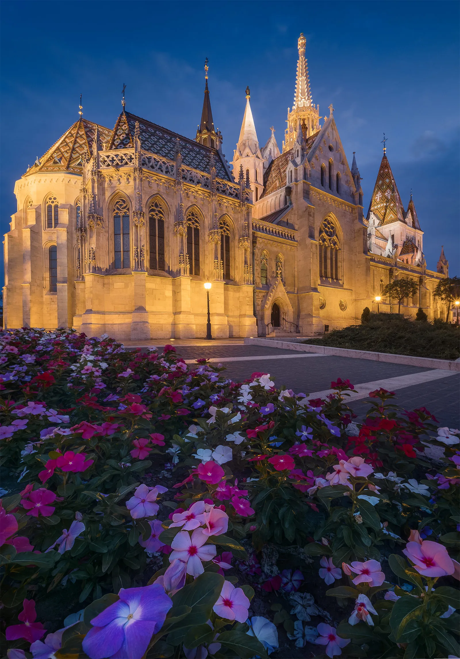 Blue hour photo of Matthias Church, located in the Buda castle in Budapest, Hungary