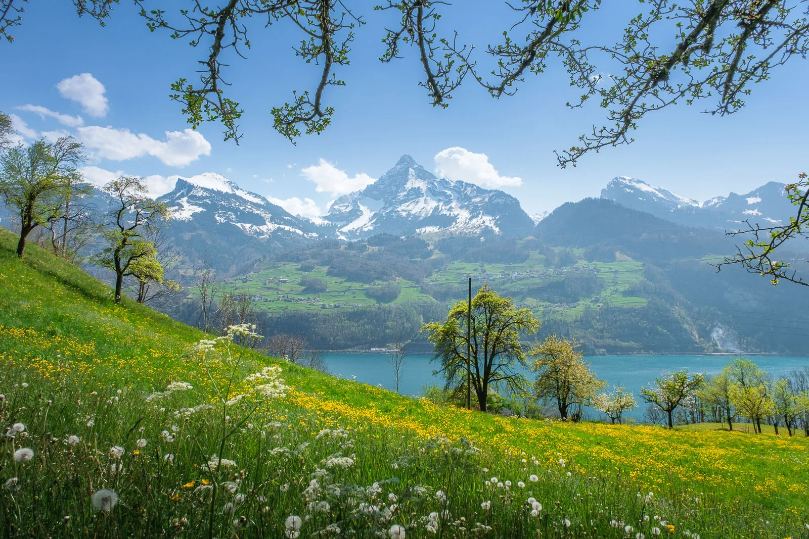 Spring in the region surrounding Walensee, Switzerland